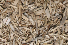 biomass boilers Moredun
